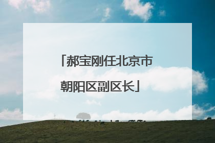 郝宝刚任北京市朝阳区副区长