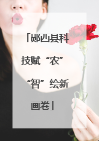 郧西县科技赋“农”“智”绘新画卷