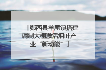 郧西县羊尾镇搭建调制大棚激活烟叶产业“新动能”