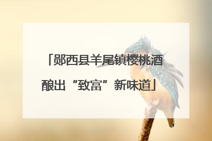 郧西县羊尾镇樱桃酒酿出“致富”新味道