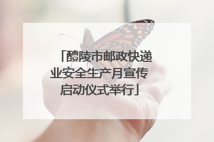 醴陵市邮政快递业安全生产月宣传启动仪式举行
