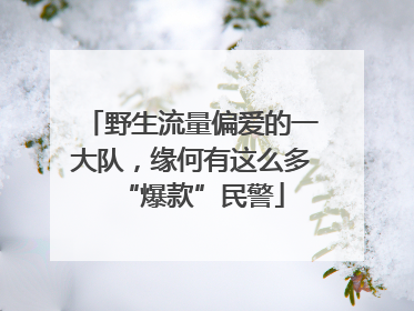野生流量偏爱的一大队，缘何有这么多“爆款”民警