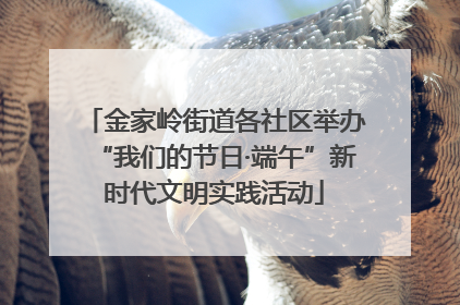 金家岭街道各社区举办“我们的节日·端午”新时代文明实践活动