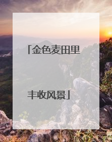 金色麦田里丰收风景