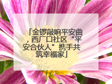 金锣敲响平安曲，西厂口社区“平安合伙人”携手共筑幸福家