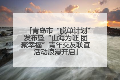 青岛市“脱单计划”发布暨“山海为证 团聚幸福”青年交友联谊活动浪漫开启