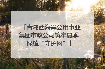 青岛西海岸公用事业集团市政公司筑牢夏季绿植“守护网”