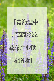青海湟中：高原冷凉蔬菜产业助农增收