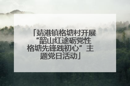 靖港镇格塘村开展“韶山红途砺党性 格塘先锋践初心”主题党日活动