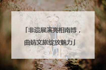 非遗展演亮相南博，曲靖文旅绽放魅力