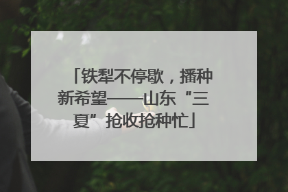铁犁不停歇，播种新希望——山东“三夏”抢收抢种忙