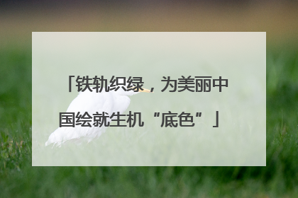 铁轨织绿，为美丽中国绘就生机“底色”