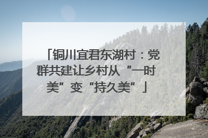 铜川宜君东湖村：党群共建让乡村从“一时美”变“持久美”