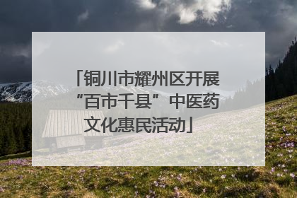 铜川市耀州区开展“百市千县”中医药文化惠民活动