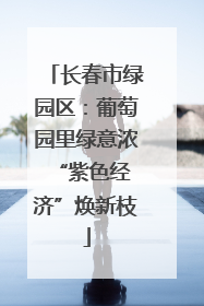 长春市绿园区：葡萄园里绿意浓 “紫色经济”焕新枝