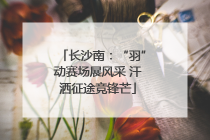 长沙南：“羽”动赛场展风采 汗洒征途竞锋芒