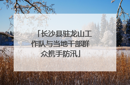 长沙县驻龙山工作队与当地干部群众携手防汛