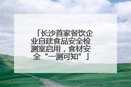 长沙首家餐饮企业自建食品安全检测室启用，食材安全“一测可知”