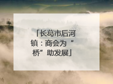 长葛市后河镇：商会为“桥”助发展