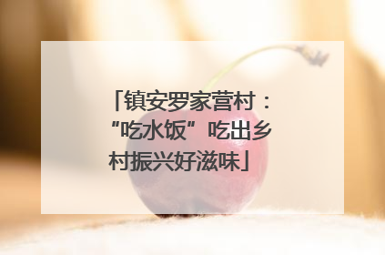 镇安罗家营村：“吃水饭”吃出乡村振兴好滋味