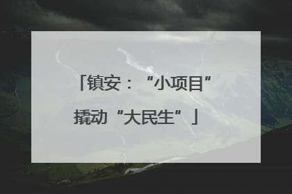 镇安：“小项目”撬动“大民生”
