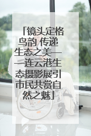 镜头定格鸟韵 传递生态之美——连云港生态摄影展引市民共赏自然之魅
