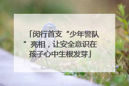 闵行首支“少年警队”亮相，让安全意识在孩子心中生根发芽