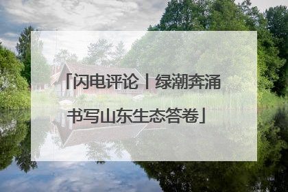 闪电评论丨绿潮奔涌 书写山东生态答卷