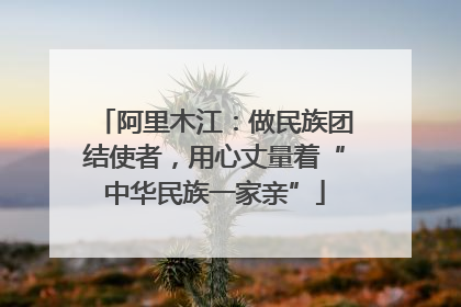 阿里木江：做民族团结使者，用心丈量着“中华民族一家亲”