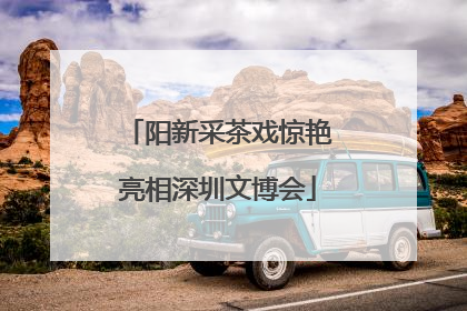 阳新采茶戏惊艳亮相深圳文博会