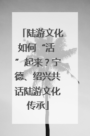 陆游文化如何“活 ”起来？宁德、绍兴共话陆游文化传承
