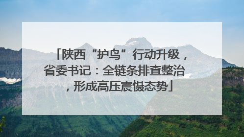 陕西“护鸟”行动升级，省委书记：全链条排查整治，形成高压震慑态势