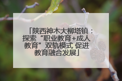 陕西神木大柳塔镇：探索“职业教育+成人教育”双轨模式 促进教育融合发展