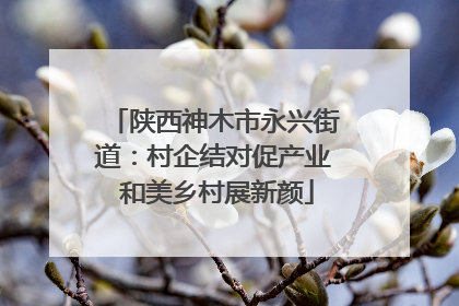 陕西神木市永兴街道：村企结对促产业 和美乡村展新颜