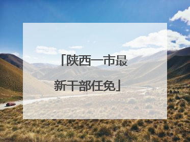陕西一市最新干部任免