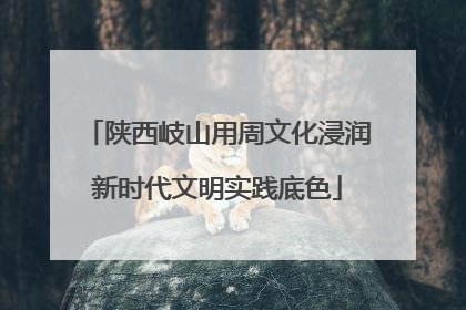 陕西岐山用周文化浸润新时代文明实践底色