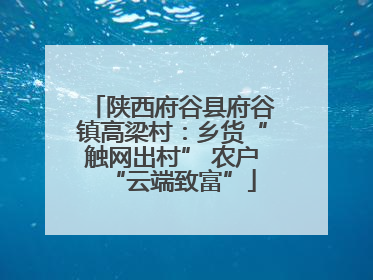 陕西府谷县府谷镇高梁村：乡货“触网出村” 农户“云端致富”