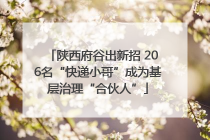 陕西府谷出新招 206名“快递小哥”成为基层治理“合伙人”