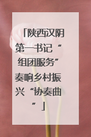 陕西汉阴第一书记“组团服务”奏响乡村振兴“协奏曲”