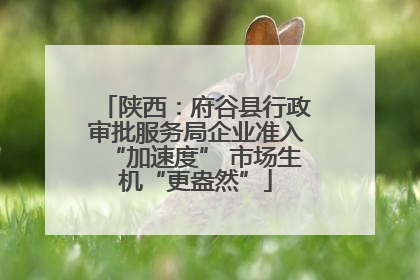 陕西：府谷县行政审批服务局企业准入“加速度” 市场生机“更盎然”