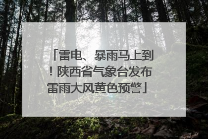 雷电、暴雨马上到！陕西省气象台发布雷雨大风黄色预警