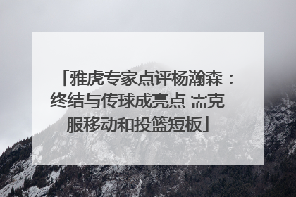 雅虎专家点评杨瀚森：终结与传球成亮点 需克服移动和投篮短板