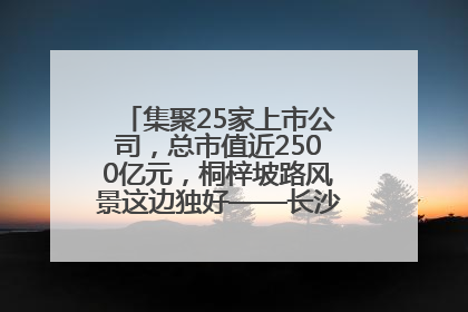 集聚25家上市公司，总市值近2500亿元，桐梓坡路风景这边独好——长沙有条“上市路”
