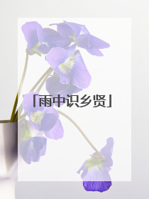 雨中识乡贤