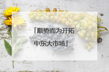 顺势而为开拓中东大市场