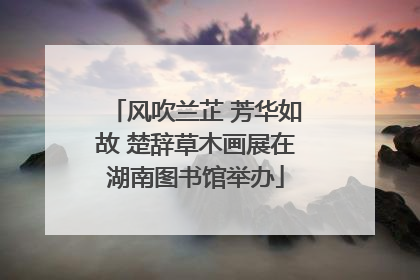 风吹兰芷 芳华如故 楚辞草木画展在湖南图书馆举办