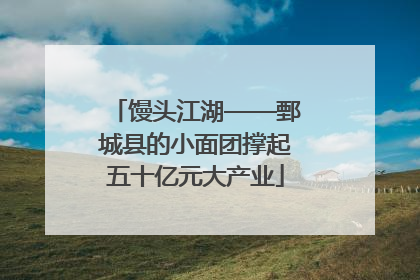 馒头江湖——鄄城县的小面团撑起五十亿元大产业