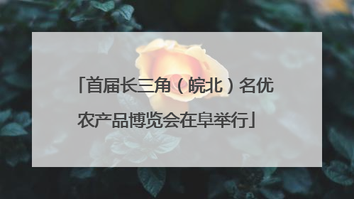 首届长三角（皖北）名优农产品博览会在阜举行