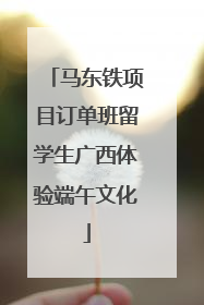 马东铁项目订单班留学生广西体验端午文化
