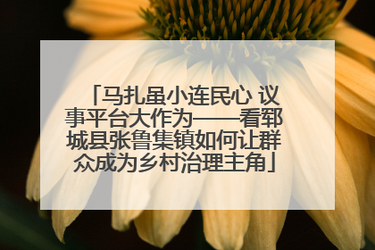 马扎虽小连民心 议事平台大作为——看郓城县张鲁集镇如何让群众成为乡村治理主角